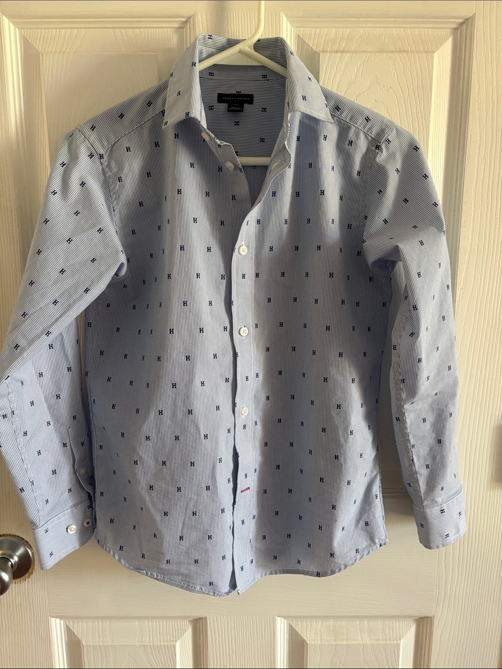 Tommy Hilfiger Light Blue Micro-Pattern Men's Button-Down Shirt